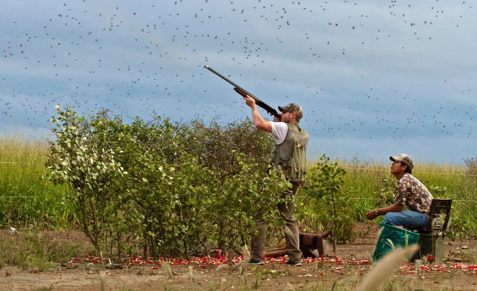 Bolivian Adventures - Bolibian Hunting