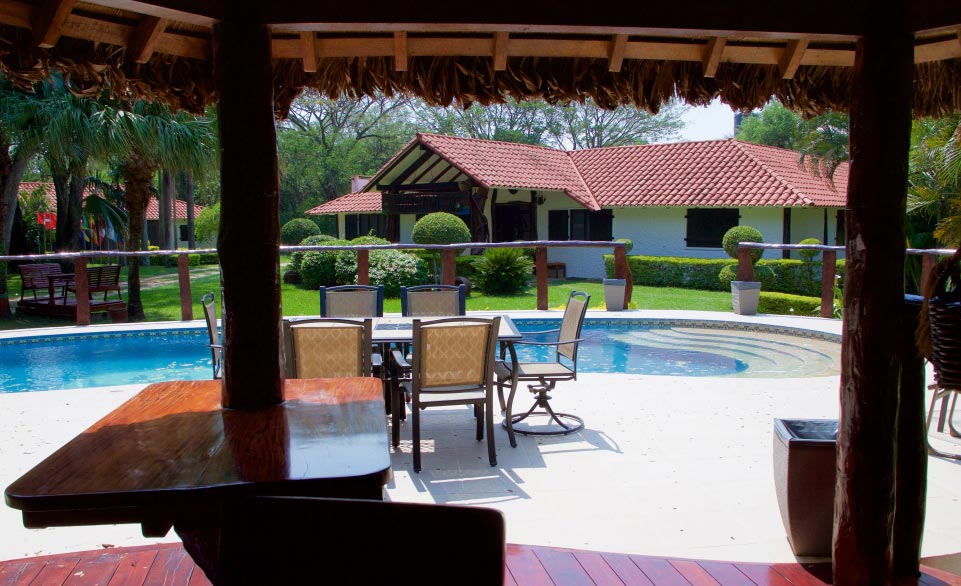 Bolivian Adventures - All kind of birds