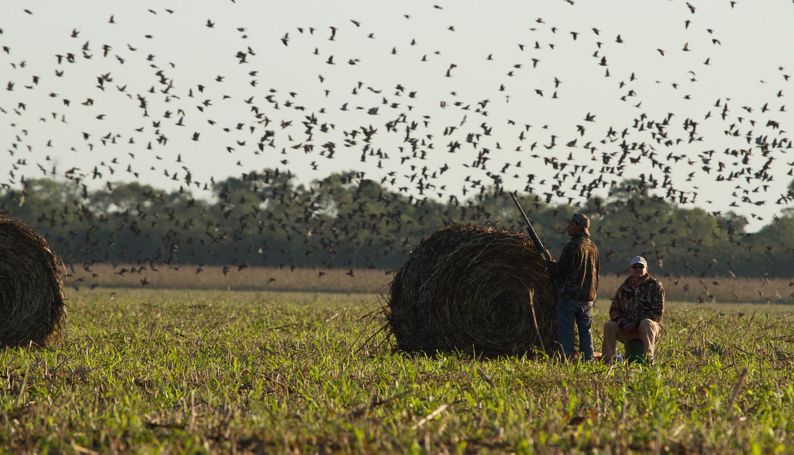 Bolivian Adventures - Bolivian Hunting