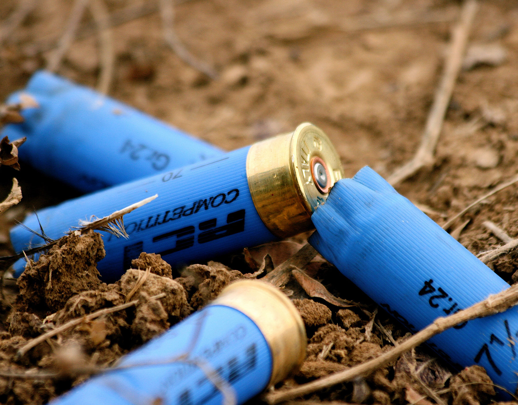 Bolivian Adventures - Bolivian Hunting