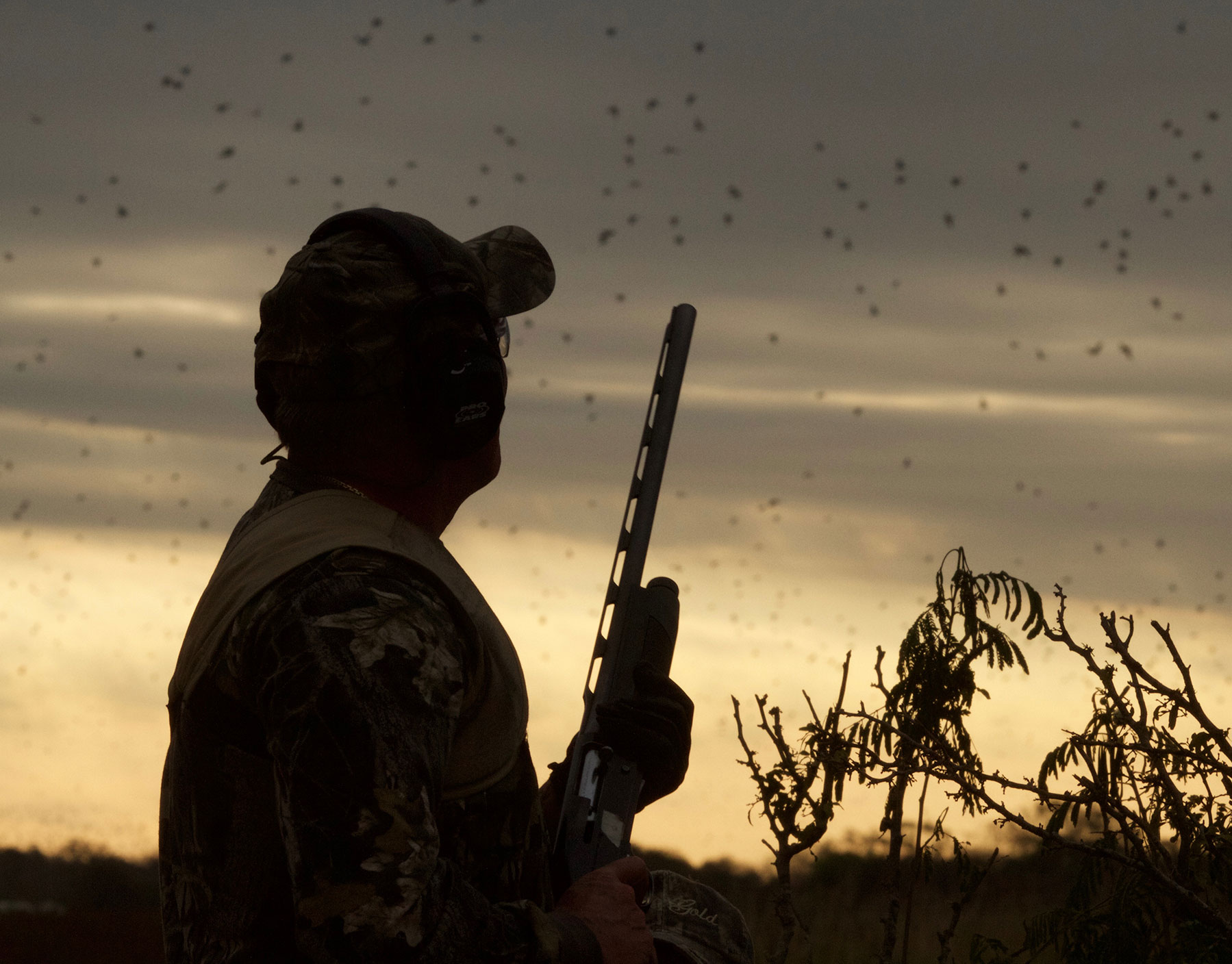 Bolivian Adventures - All kind of birds